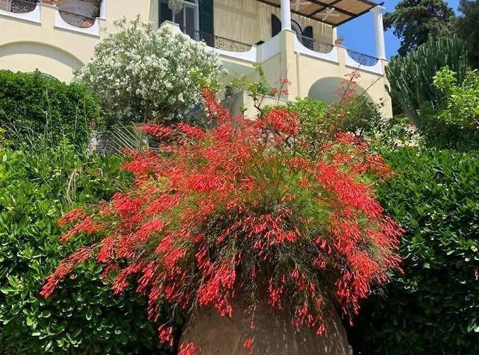 アパート La Casa Di Paola カプリ