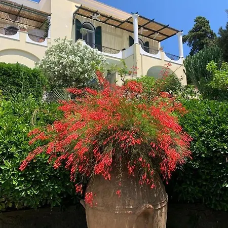 Lägenhet La Casa Di Paola Capri